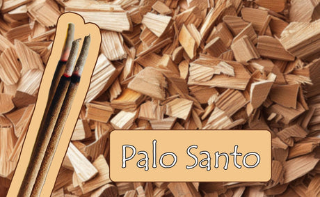 Palo Santo – das Heilige Holz