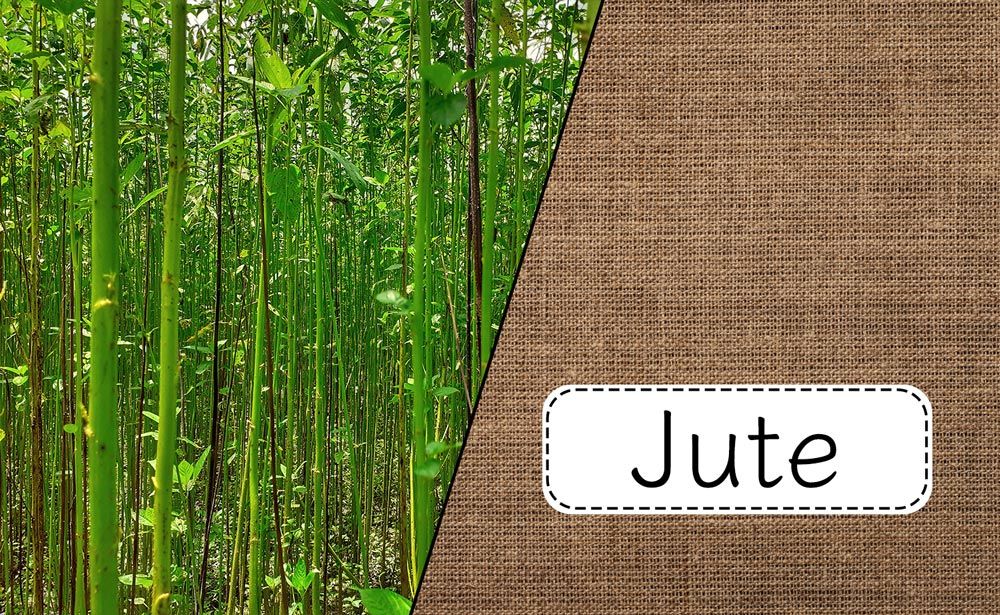 Jute  Nachhaltiger Rohstoff  Karmandala Handels GmbH
