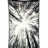 Wandtuch Wald schwarz weiß - medium
