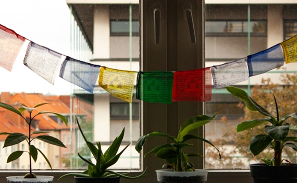 Ausblick aus dem Fenster mit immergrünen Pflanzen und einer kleinen transparenten Gebetsfahne